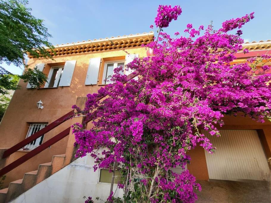 Villa La Garde  Exteriör bild